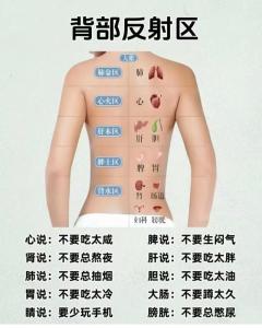 不同的背部形態(tài)看命運