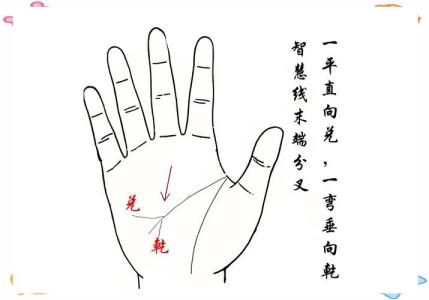 手相智慧線中間分叉