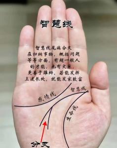 手相分析智慧線短且分叉的女生：想法多變意志力差！