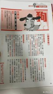屬狗在2024有喜事纏身嗎