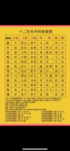 2024鼠跟什么生肖犯沖 鼠在2024的劫難是什么