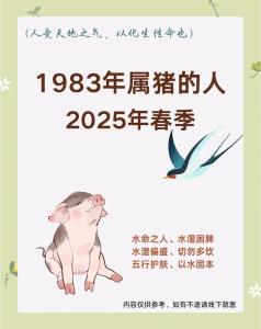 分別是什么時候 屬豬的三年大運是指哪三年
