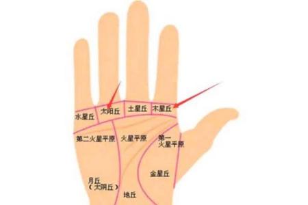 手相太陽丘在哪里，代表著我們的三觀和感受！