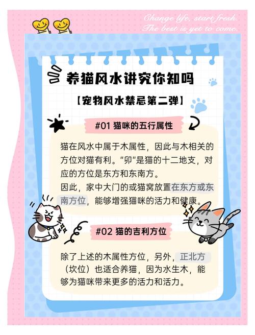 養貓對住宅風水有哪些影響？