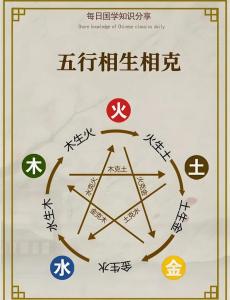 大林木和海中金配嗎 會不會相克 命運如何