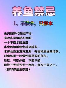 養魚禁忌知多少？別傷了風水財運還傻傻不知~