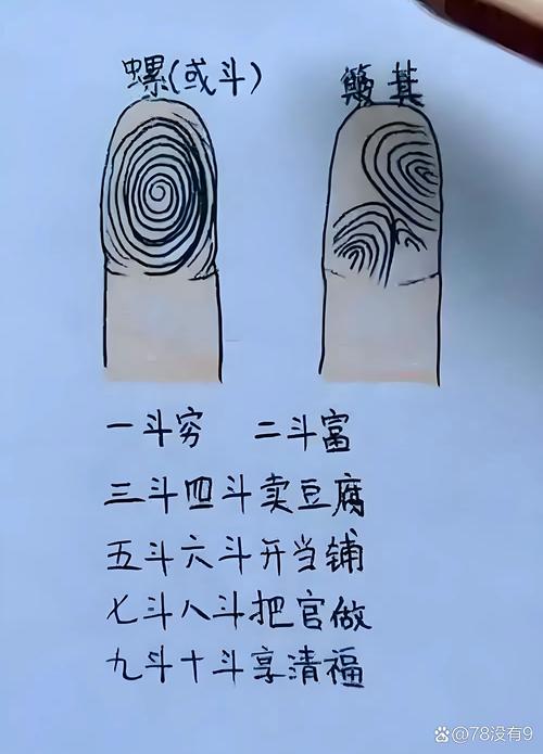 一個螺紋真的窮嗎 時運不濟發展機遇渺小