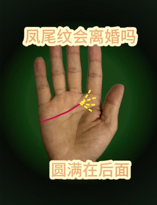 真假鳳尾紋手相圖解 大富大貴生活富足