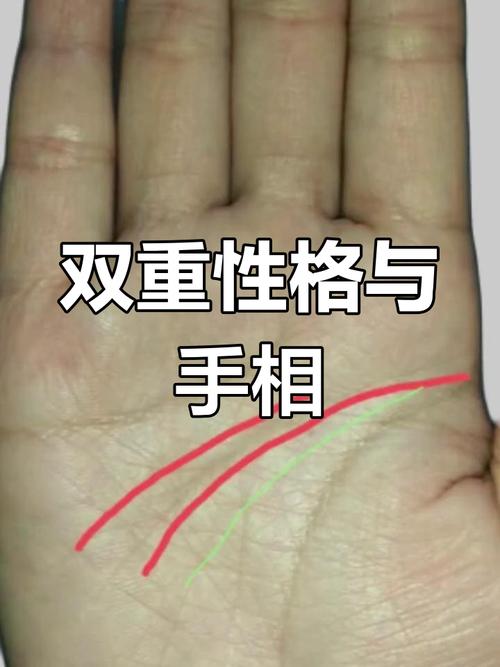 雙智慧線手相 兩條智慧線代表了什么