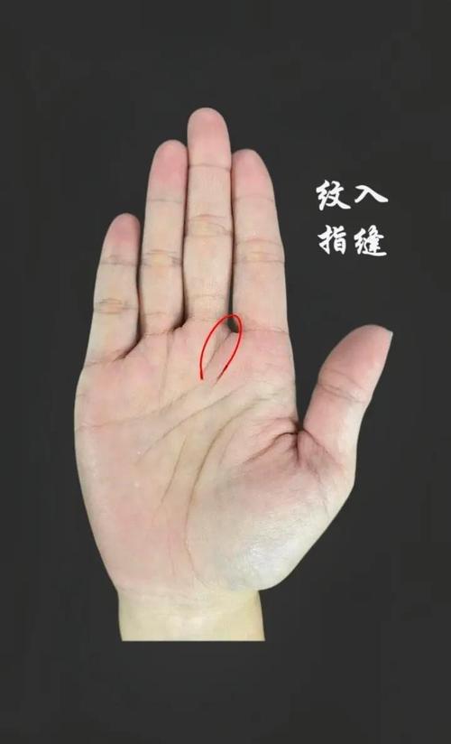 手相川字紋男人的命運 腳踏實地吃苦耐勞