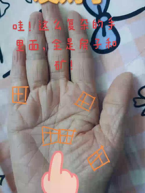 手掌中田字紋 一生無須奔波操勞