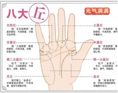 手紋線圖解大全女人 分析女人手相八大丘