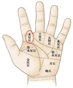 手心三角紋手相圖解 當官創(chuàng)業(yè)事業(yè)突飛猛進
