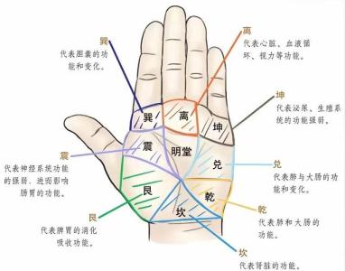 易經(jīng)手掌紋路圖解 怎么看周易手相