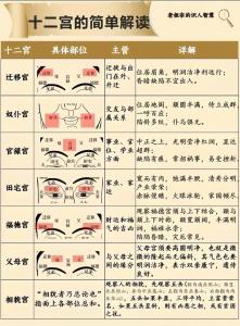 詳解：教你面相12宮看富貴吉兇