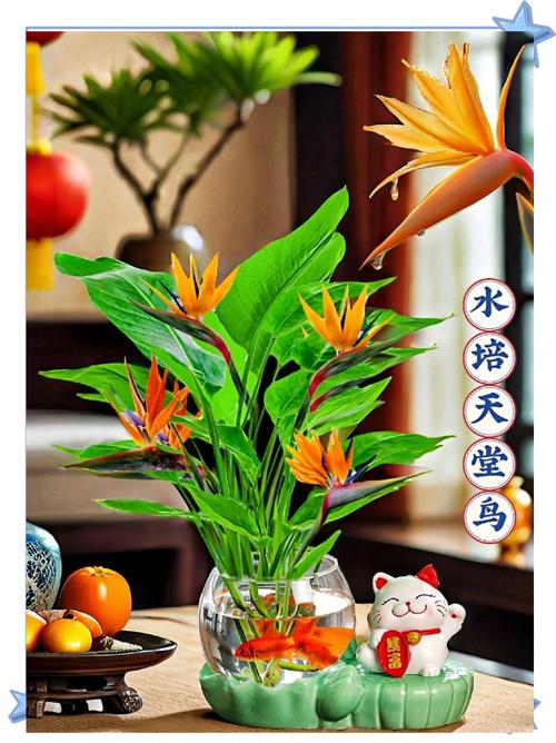 天河水命適合養花嗎 養什么植物好