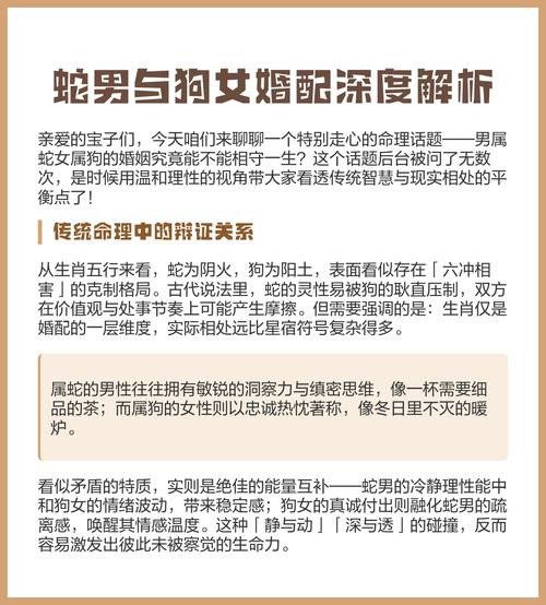 狗和蛇的相處狀況 生肖狗與生肖蛇組合能配嗎