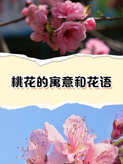風(fēng)水桃花是什么意思 桃花滿開春風(fēng)迎
