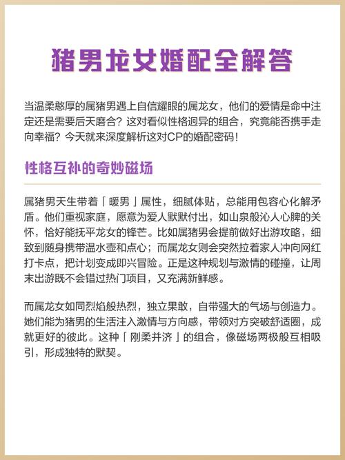 兩個人的相處建議 生肖龍女和生肖豬男能配嗎