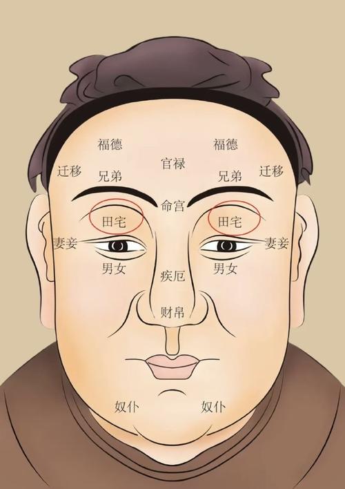 眉壓眼的男人面相分析