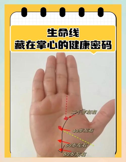 手相生命線生得短的人壽命就不長嗎？