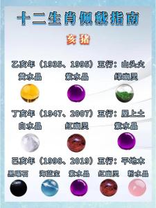 19年的豬五行屬什么