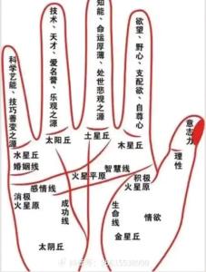 手相分析事業線到中指根部，極有可能事業有成！