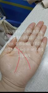 智慧線短的人真的很笨嗎？終身一事無成？