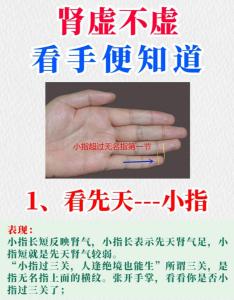 男人小拇指短代表什么