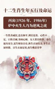 寅虎的人五行屬什么
