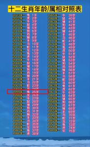 99年出生2024年多大年齡 1999屬兔的今年多大了2024