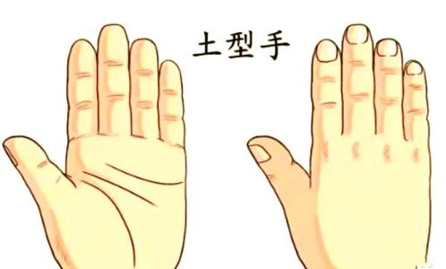 土形手是什么意思，屬于有執(zhí)行能力的手型！