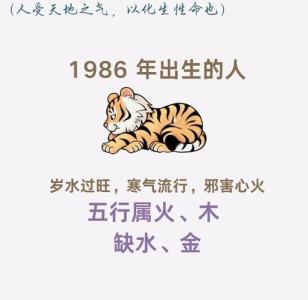 1986年屬虎五行缺什么
