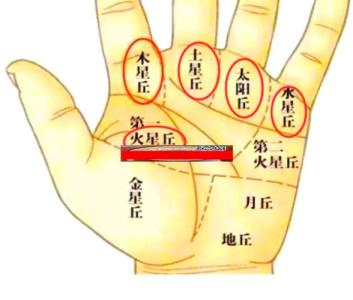 手相金星丘在哪個(gè)部位，代表著我們的健康和情感！