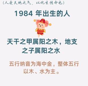 84年屬鼠五行缺什么
