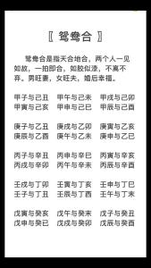 八字鴛鴦真假合