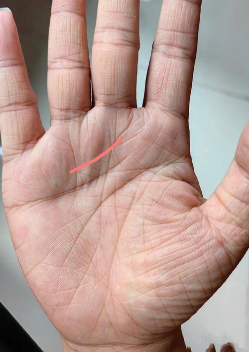年輕時就有成就的手紋 財富紋年少有成