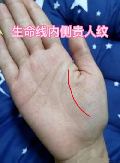 貴人紋手相男士 健康平安事業(yè)發(fā)展昌盛