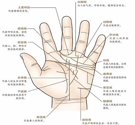 十字紋手相圖解大全 災禍少見忍耐力強