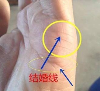 文憑線在手相哪個位置 事業(yè)成功的手相分析