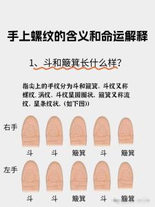手拇指螺紋是指啥 事業財富雙豐收