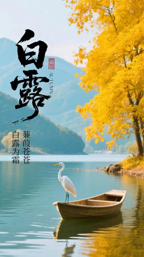 白露前后出生好嗎2022年 機靈務實不矯情