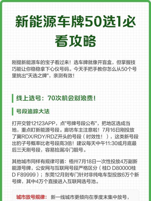 車牌50選一選號絕招 網上選號流程詳解