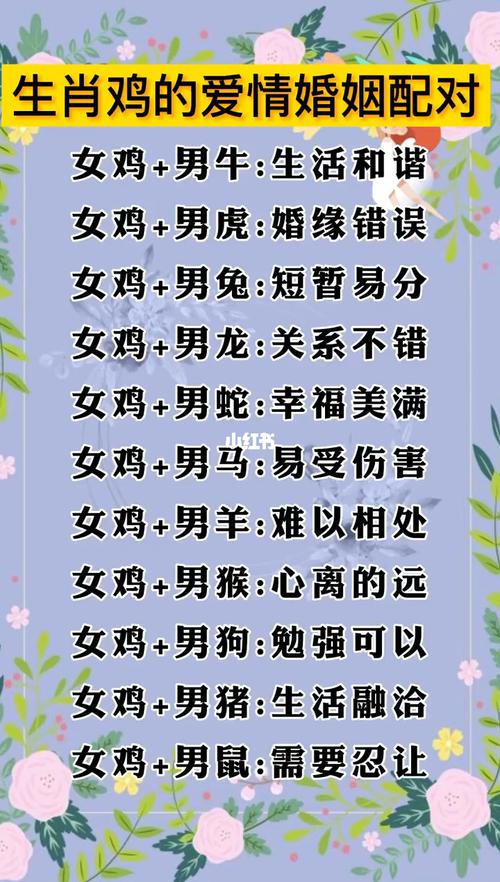 屬雞的屬相婚配表 雞的生肖和哪個生肖最配
