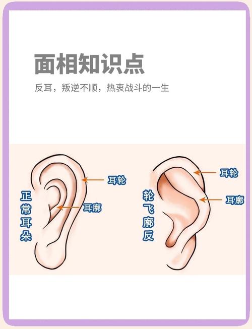 耳輪廓反的男人的面相圖解
