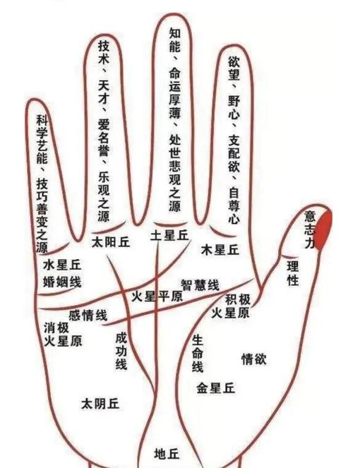 手相分析成功線是什么意思，看左手還是右手？