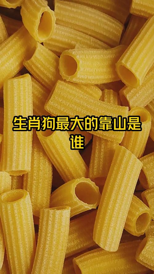 屬狗人一生最大的靠山是哪個(gè)生肖 屬狗人一生最大的靠山是誰