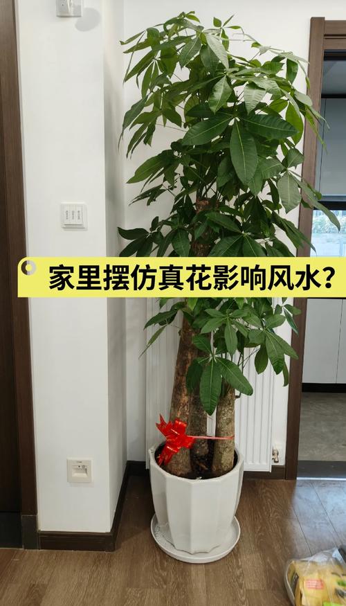 子女都離婚是什么風水 家中放了假花