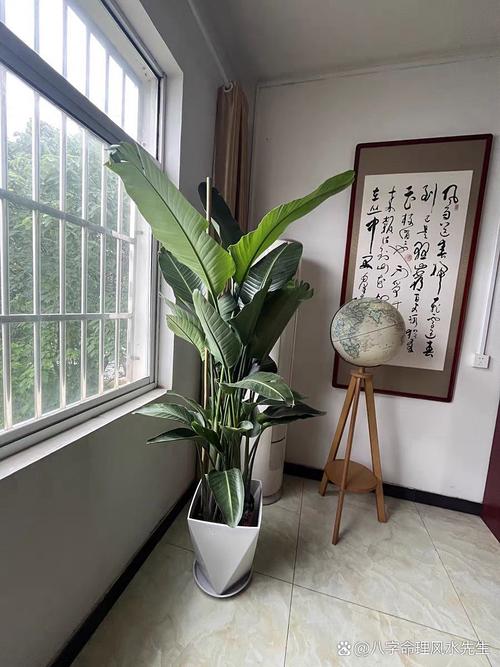 影響婚姻的家庭裝修風水 假花不擺家中