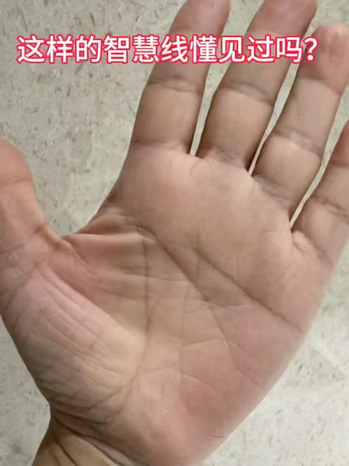 智慧線下垂到手腕的人，沒(méi)有經(jīng)濟(jì)頭腦？